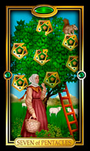 Picture of Seven of Pentacles card from Easy Tarot kit